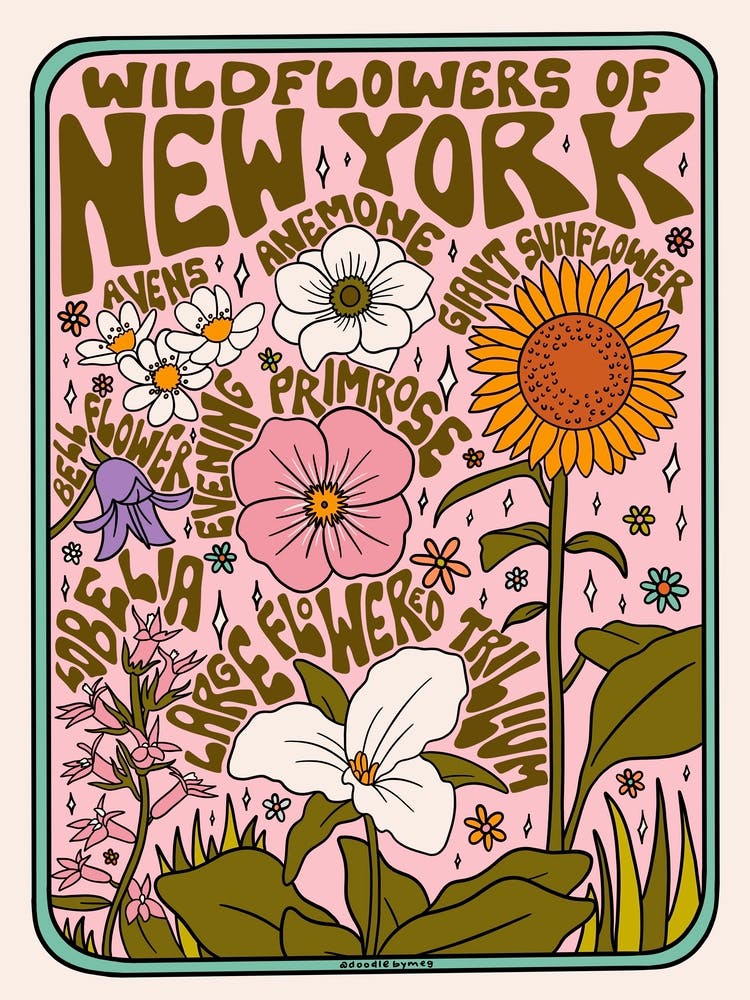 New York Wildflowers