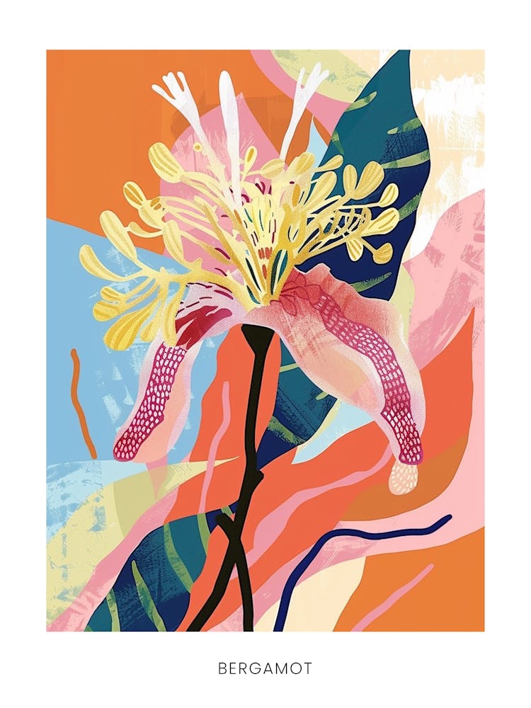 Illustration Fleurie Colorée Poster Bergamot 2