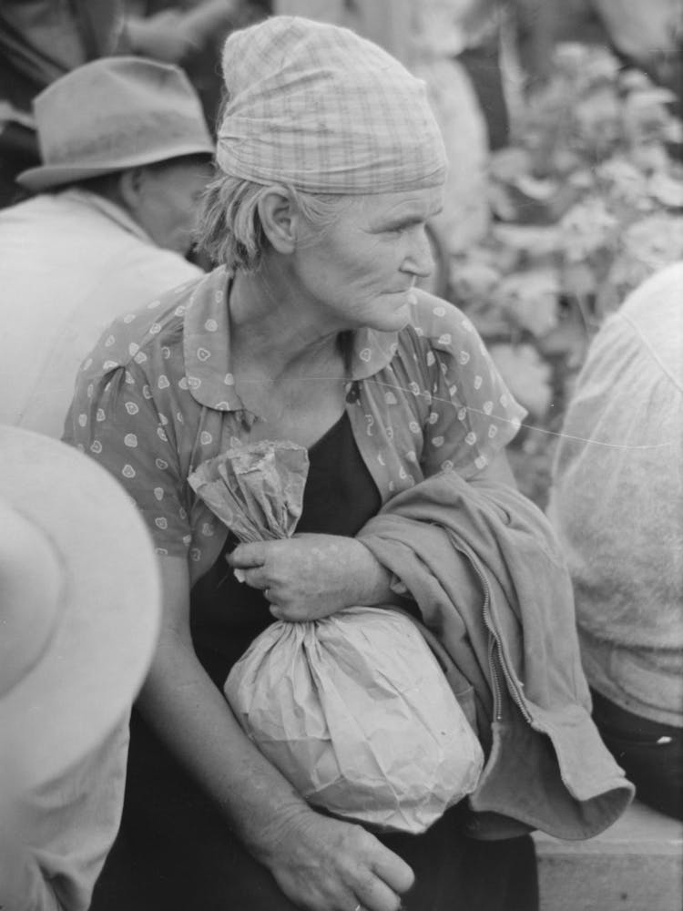 Day Laborer Employed In Cotton Picking, Lake Dick Project, Arkansas By Russell Lee