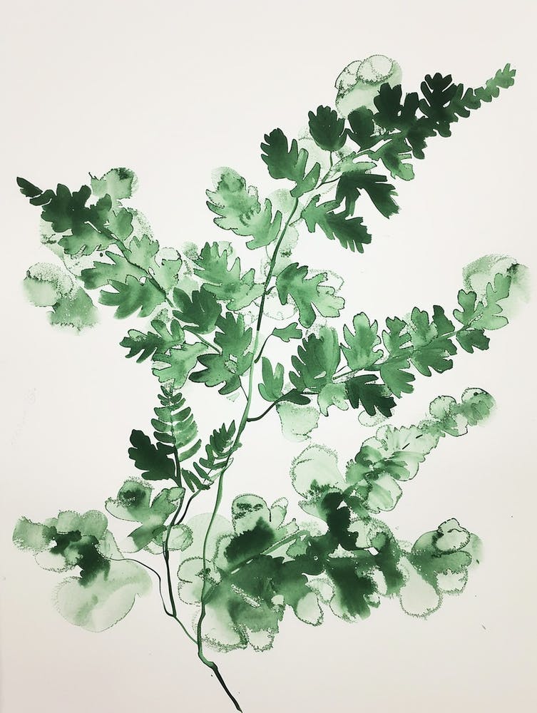 Green Ink Painting Of A Ribbon Fern 3