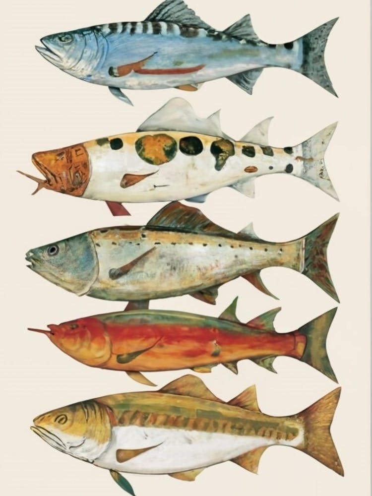Fish Collection Poster wall art