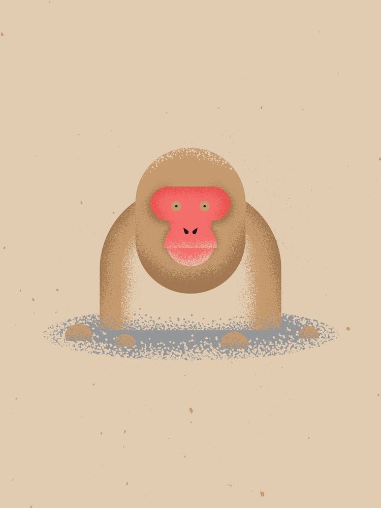Snow Monkey