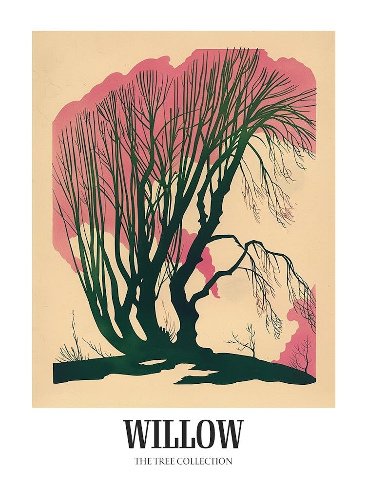 Willow Tree Colourful Illustration 4 Poster