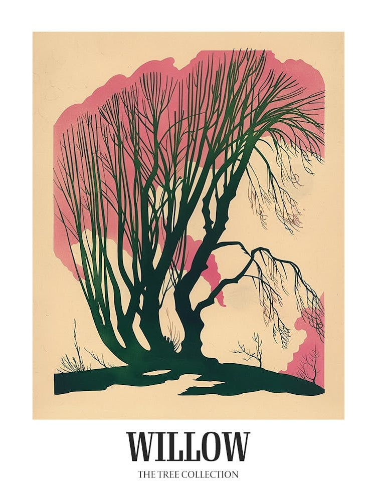 Willow Tree Colourful Illustration 4 Poster
