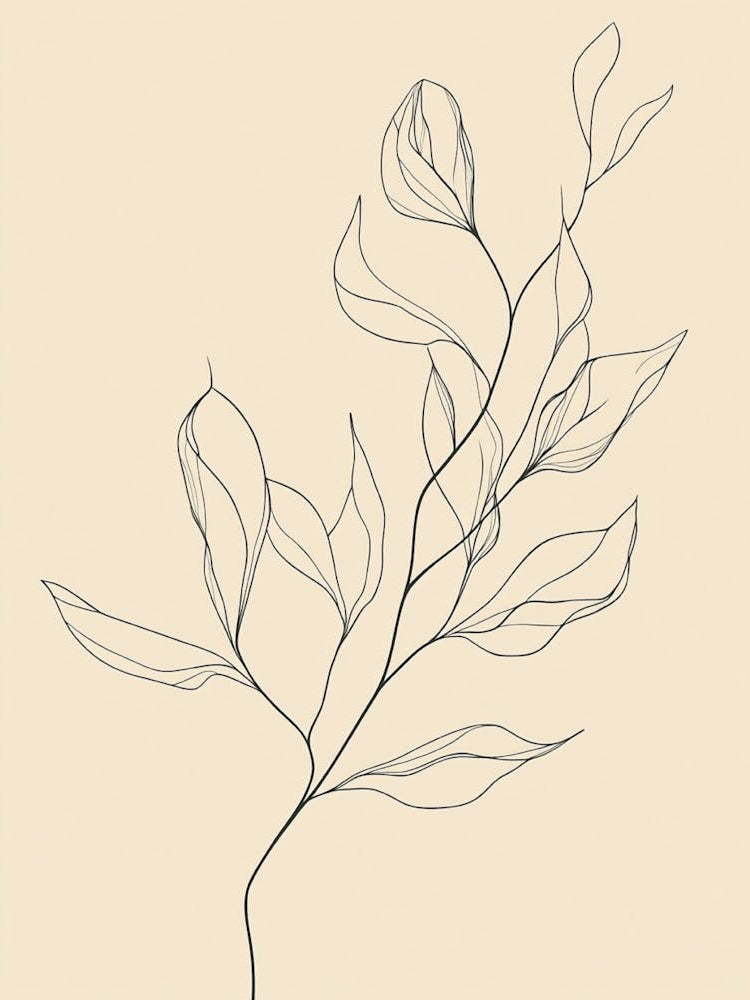 Line Drawing Of A Leaf
