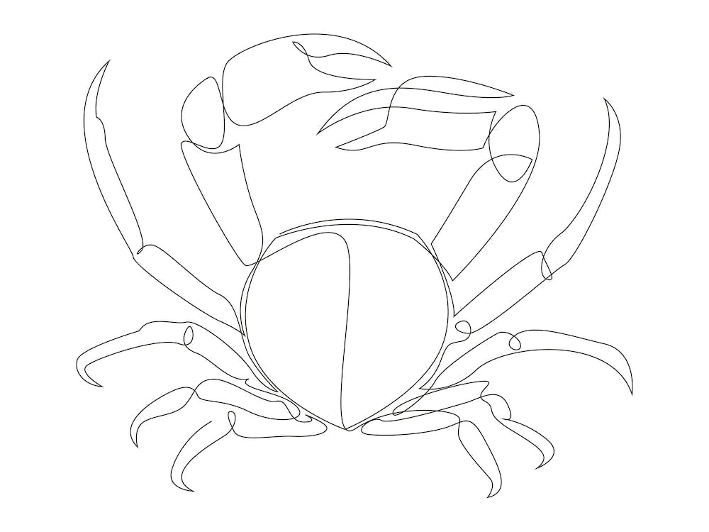 Crab