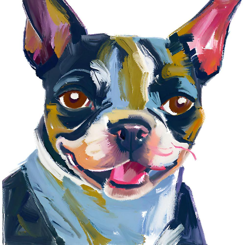 Boston Terrier 01
