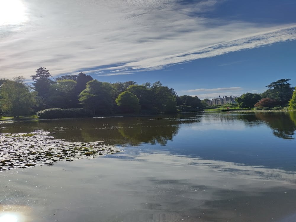 Lake Water