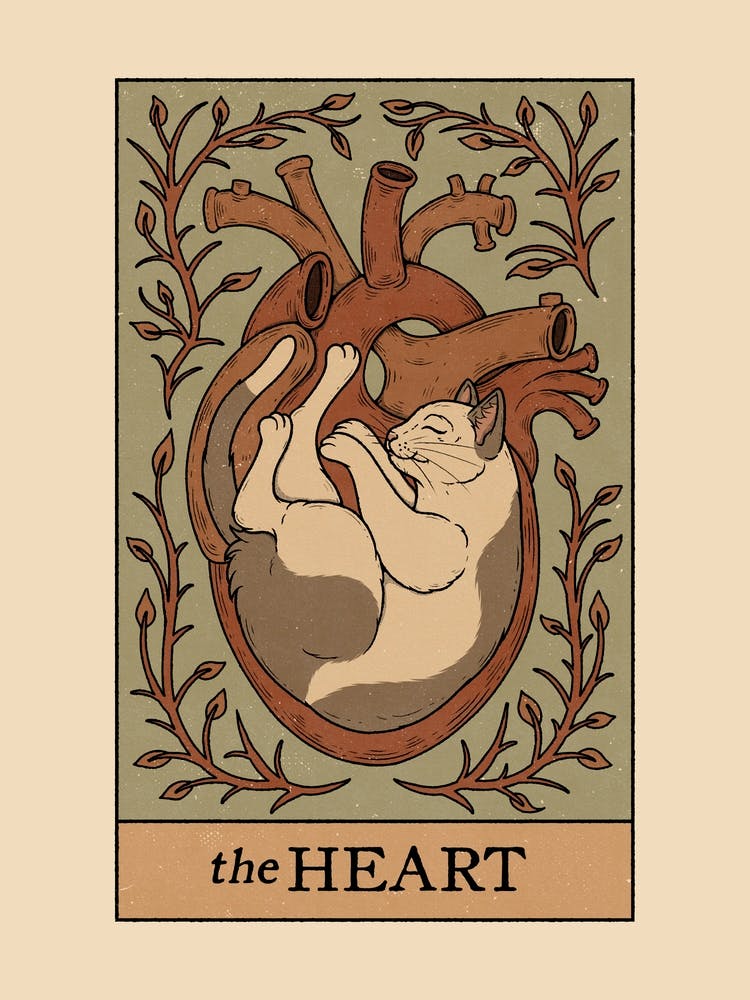 The Heart - Cats Tarot