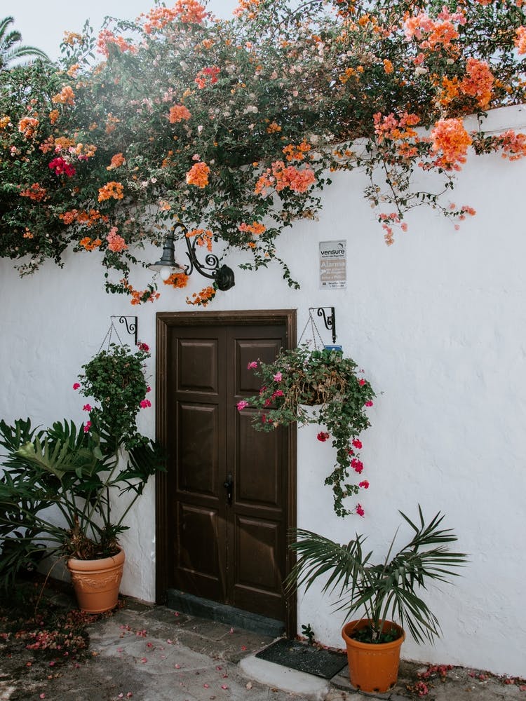 Doorway With Flowers, Tenerife, Canary Islands