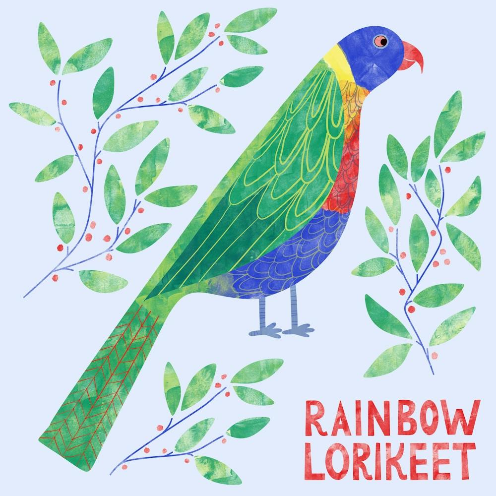 Rainbow Lorikeet Parrot Bird
