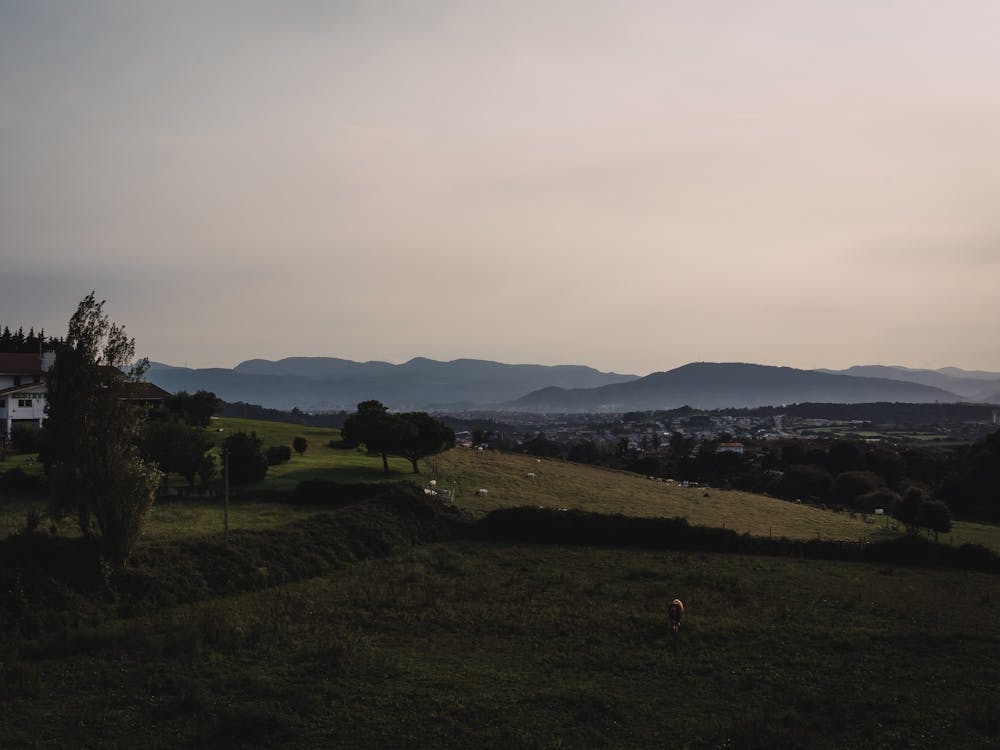 Sunset in the country, Barrika, Spain