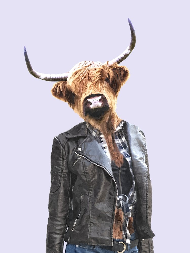 Highland Kuhmädchen