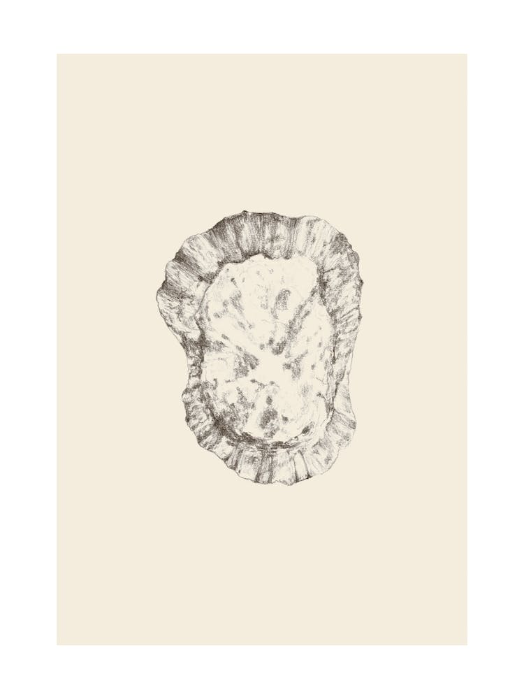 Illustration 606 'Pencil Seashell', Aga Szafranska