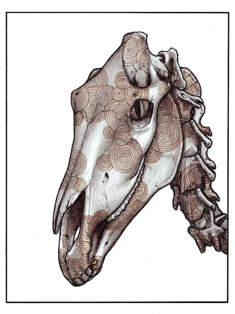 Horse Skull Red