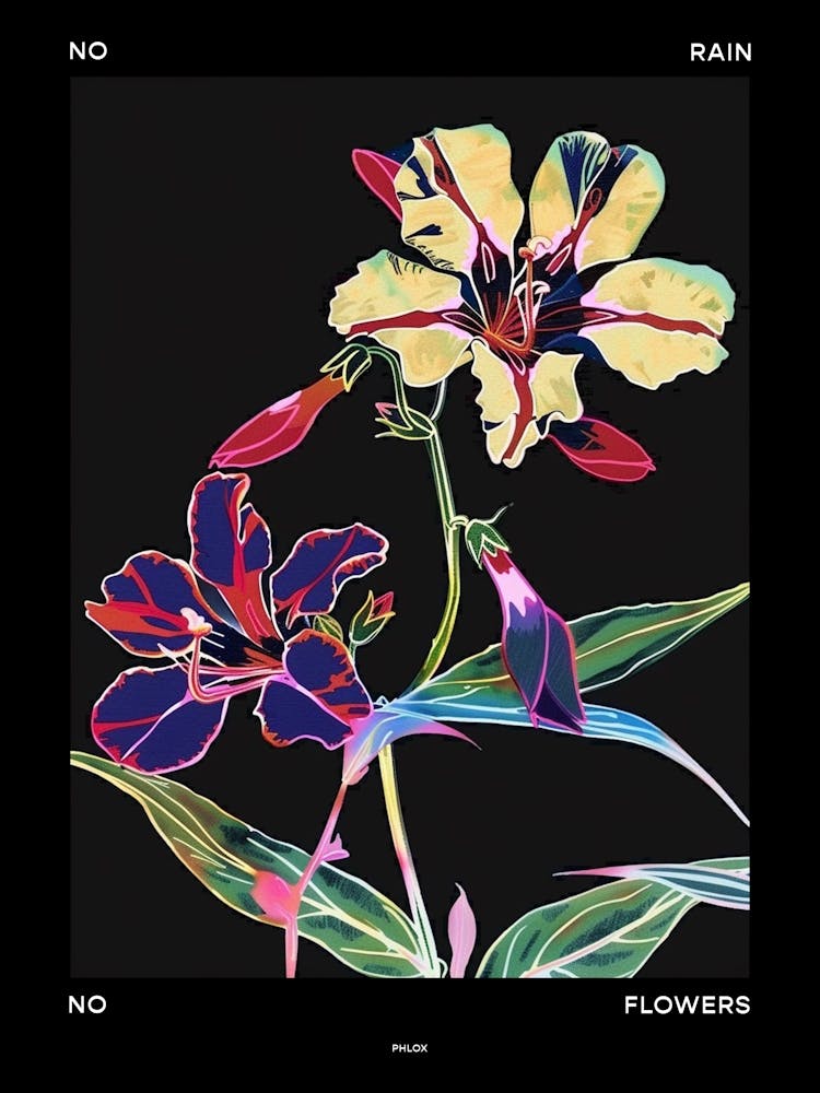 No Rain No Flowers Poster Phlox 3