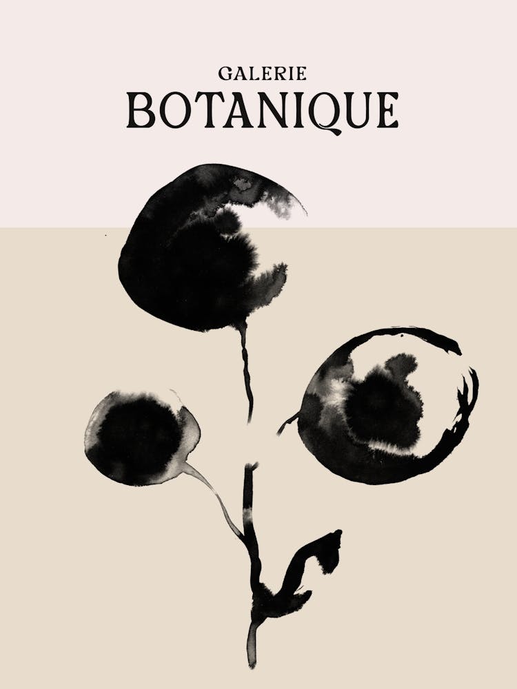 Galerie botanique no 7