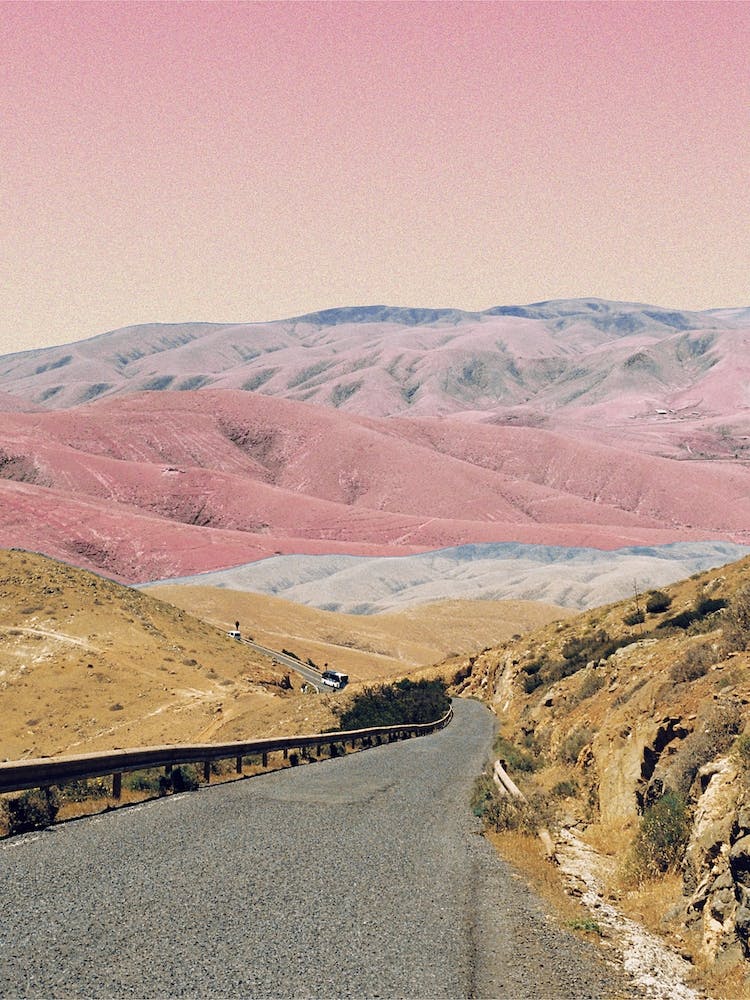 Road In The Pink Desert
