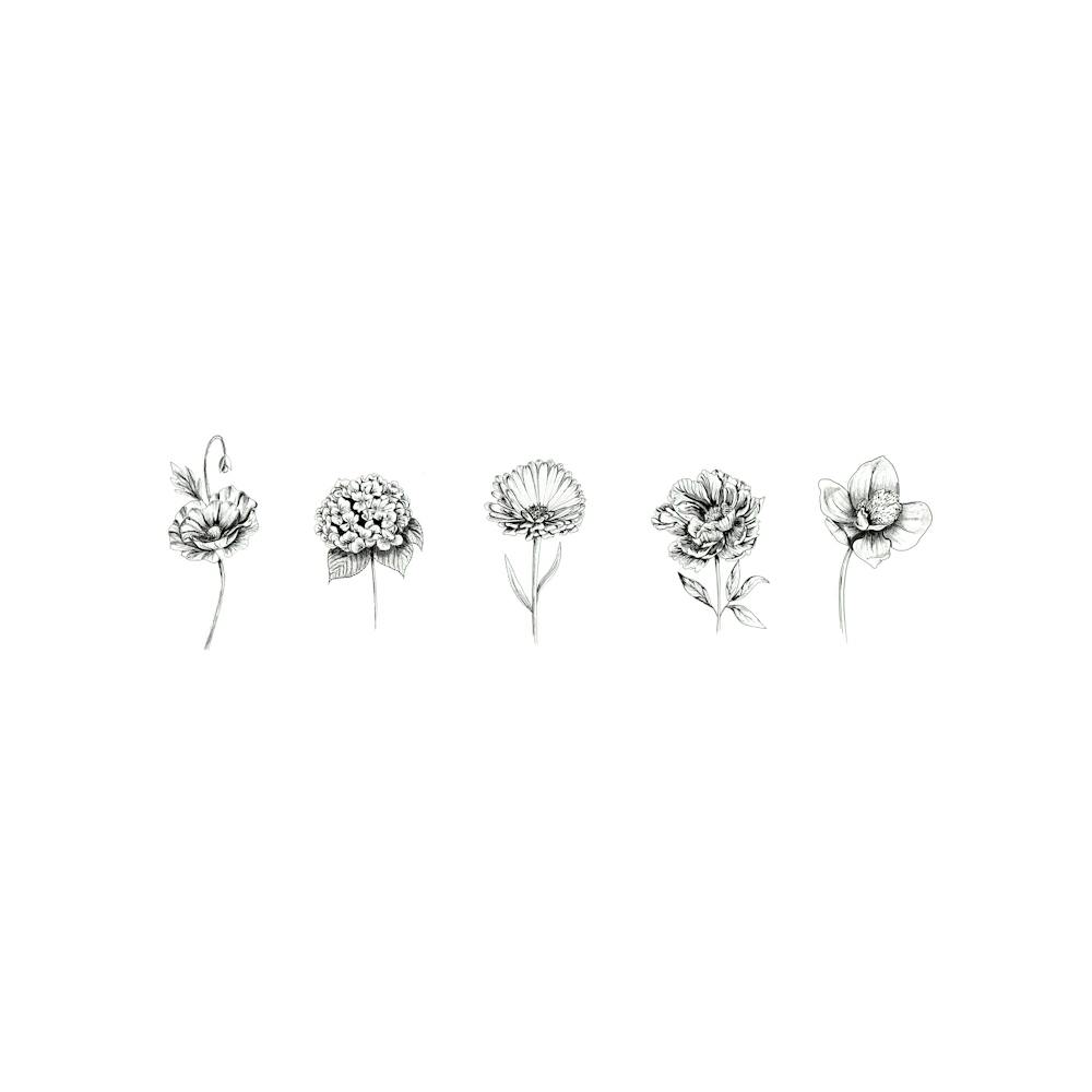 5 Minimal Flowers