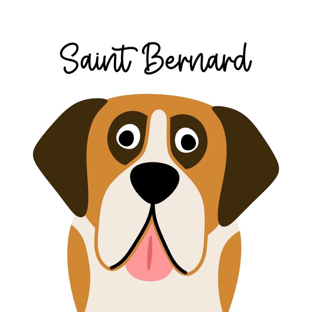 Saint Bernard