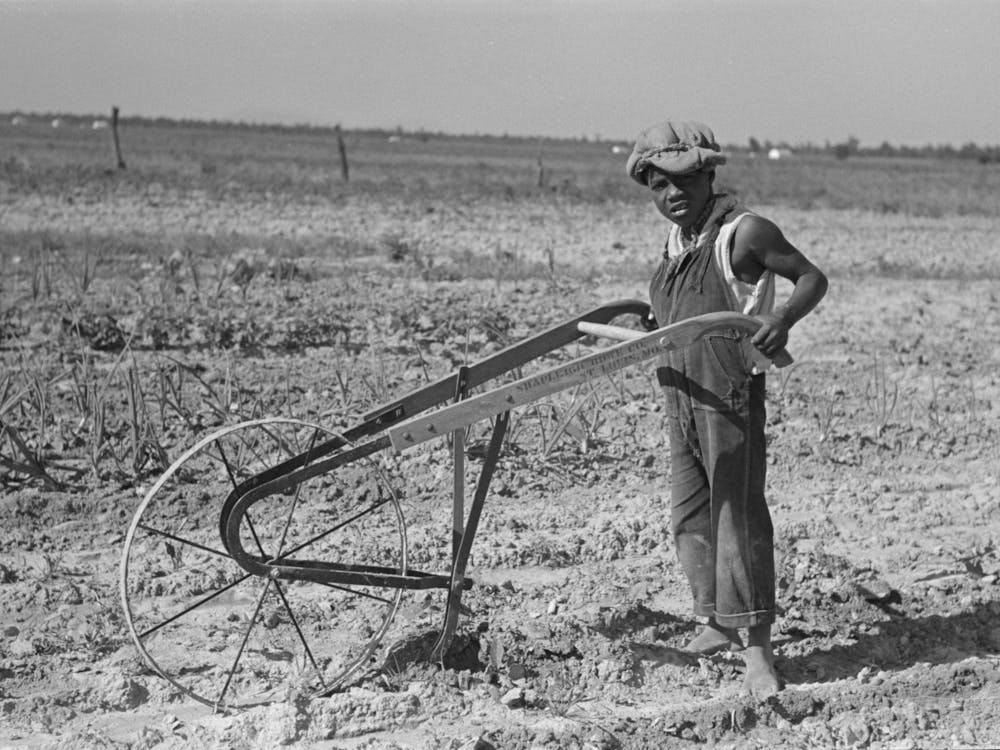 Untitled Photo, Possibly Related To New Madrid County, Missouri, Child Of Sharecropper Cultivating Cotton By