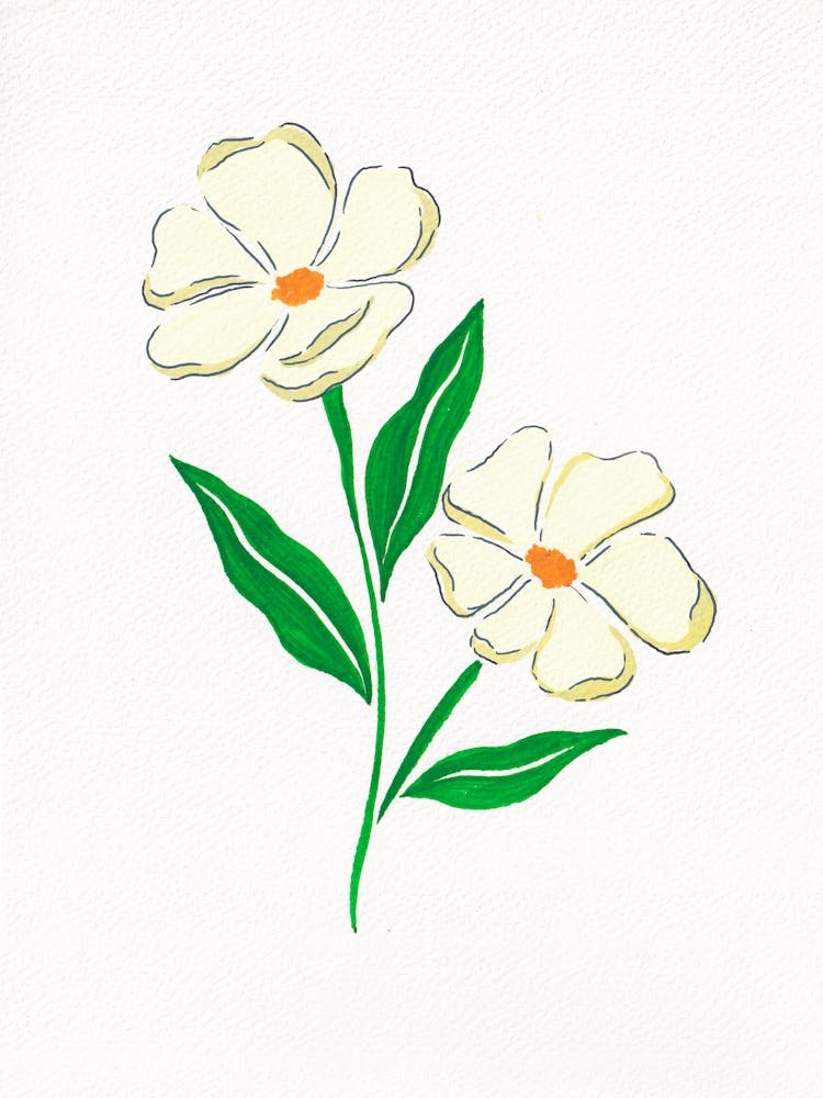 Flower and leaves