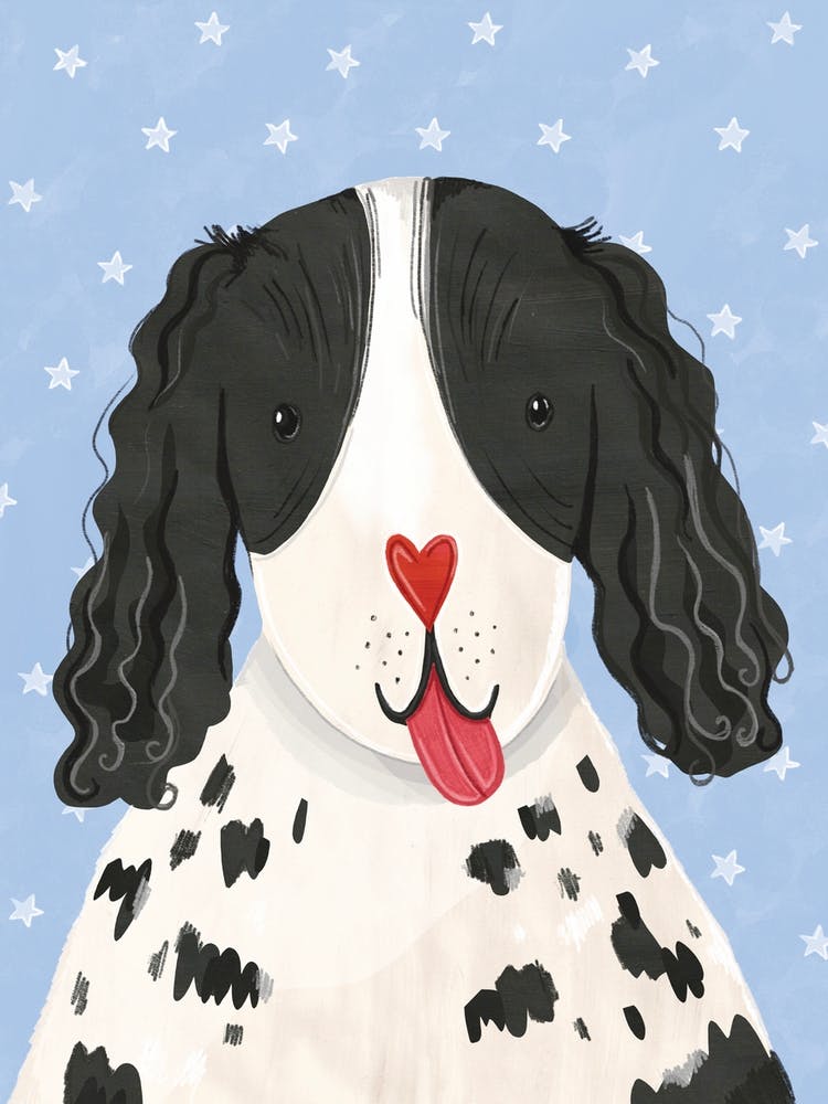 Alfie The Spaniel