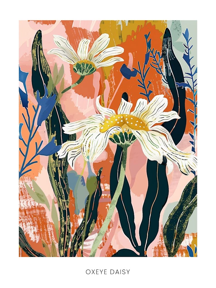 Colourful Flower Illustration Poster Oxeye Daisy 3