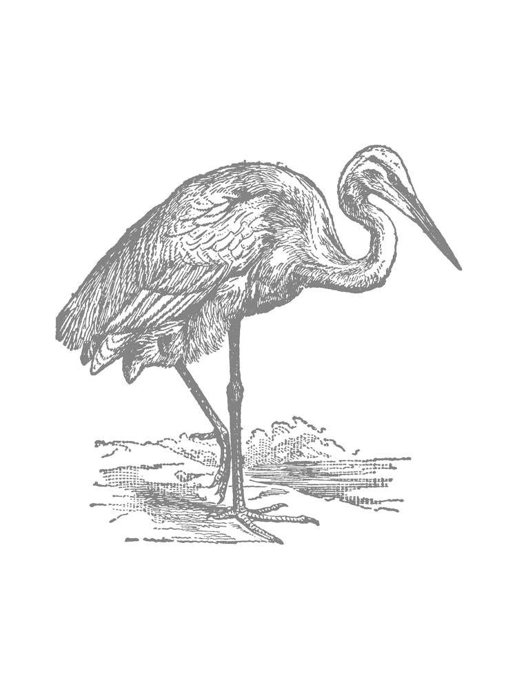 Heron 2