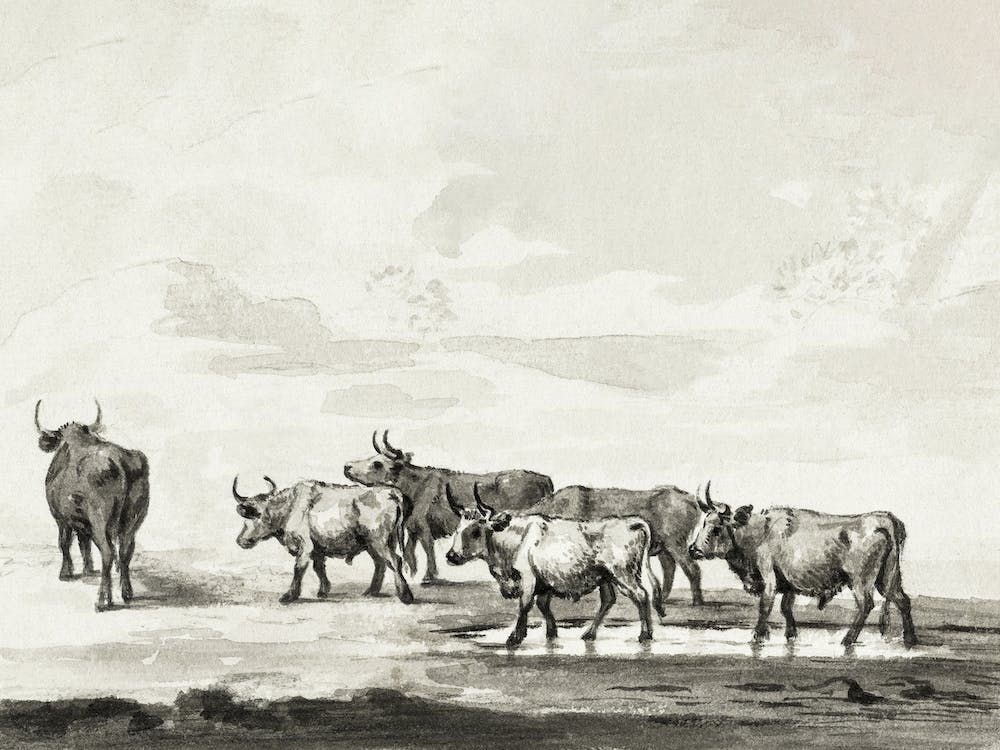 Group Of Six Bulls, Jean Bernard