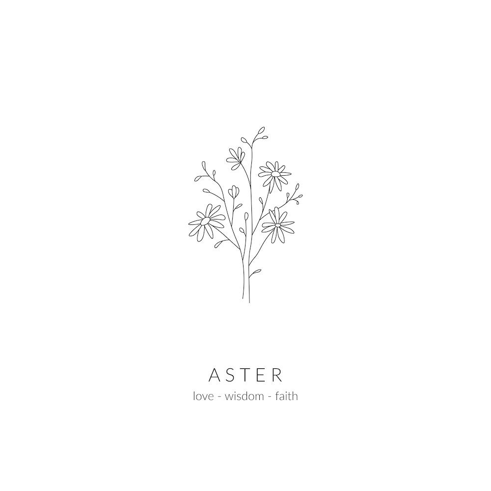 Aster Birth Flower Square