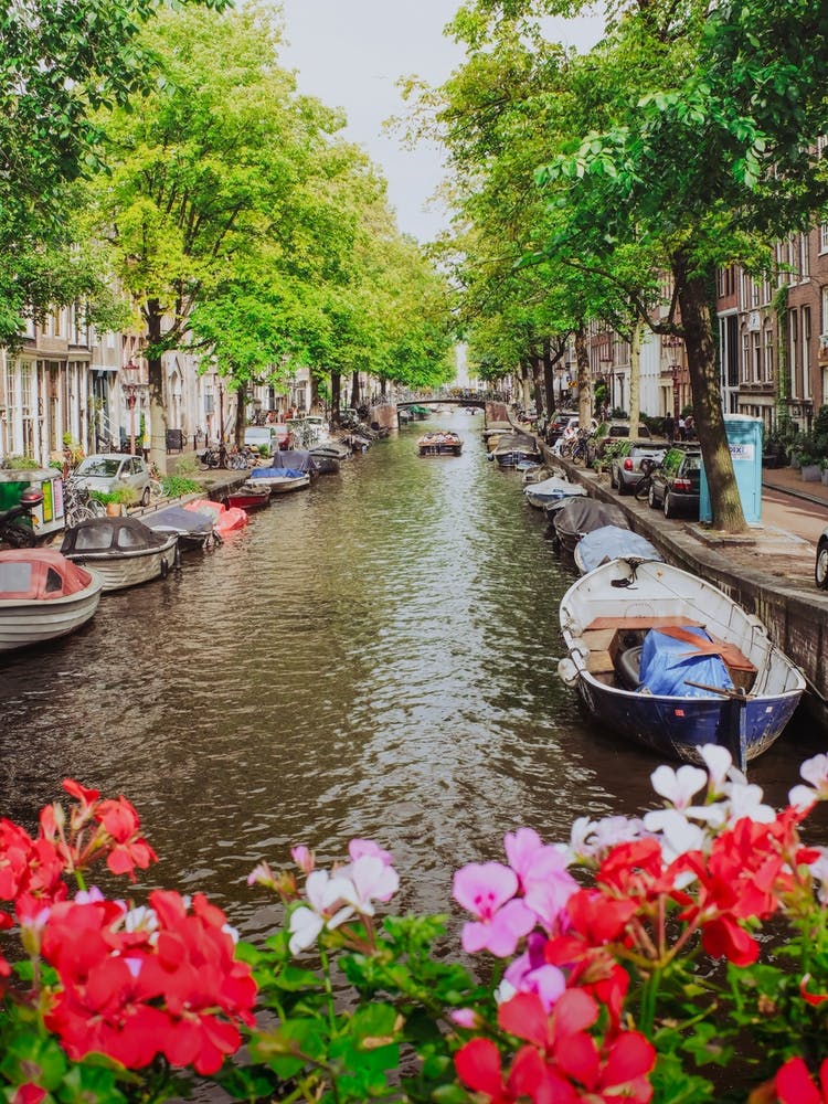 Amsterdam Floral Canal, Travel