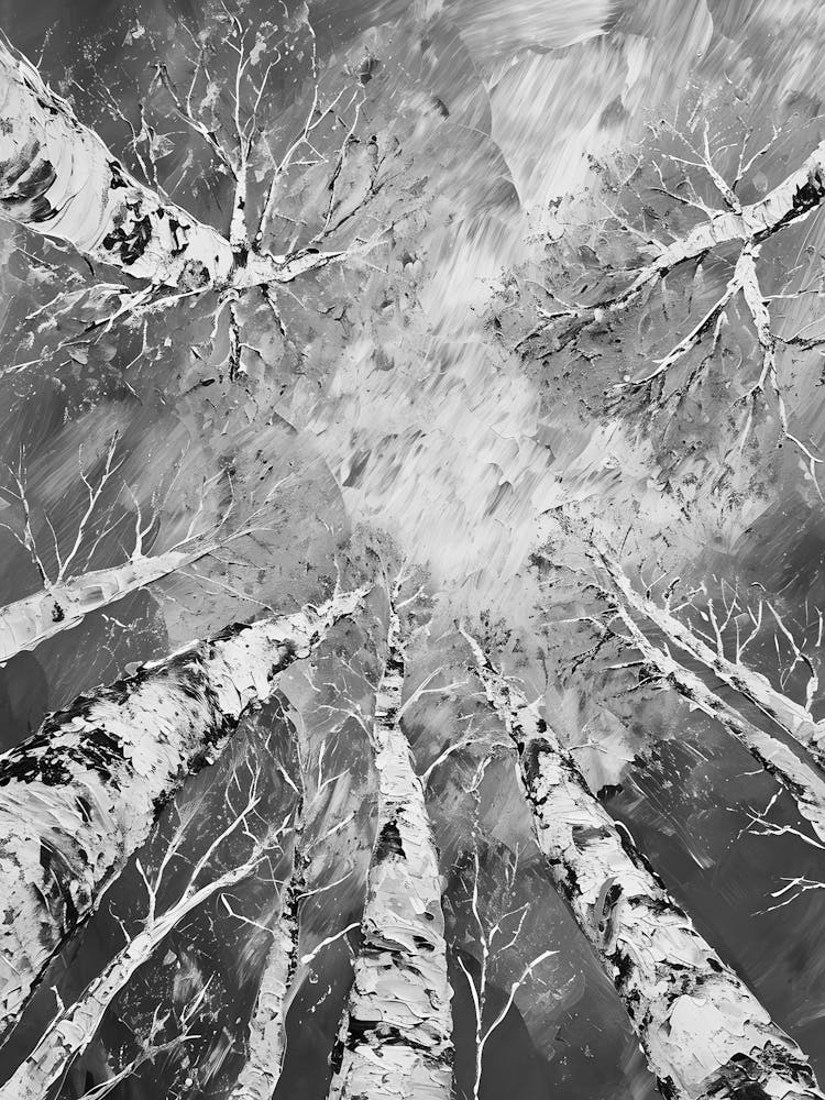 Birch Trees