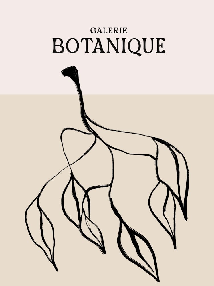 Galerie botanique no 2