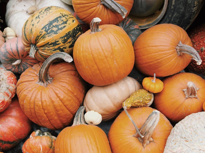 Farm Pumpkins