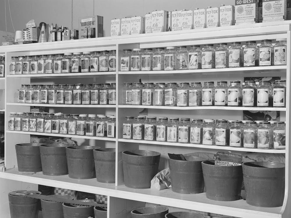Garden Seed For Sale, Ontario, Oregon By Russell Lee