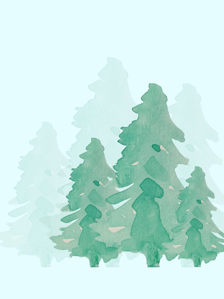 Pine Trees