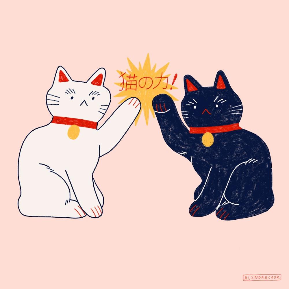 Cat Power Square