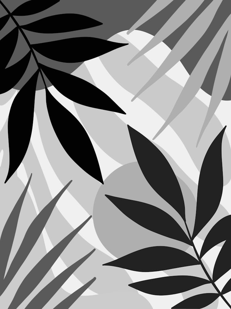 Black And White Tropical Leaves