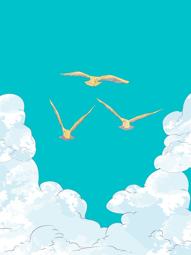 Birds In The Sky
