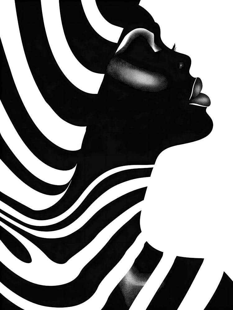 Black And White Zebra