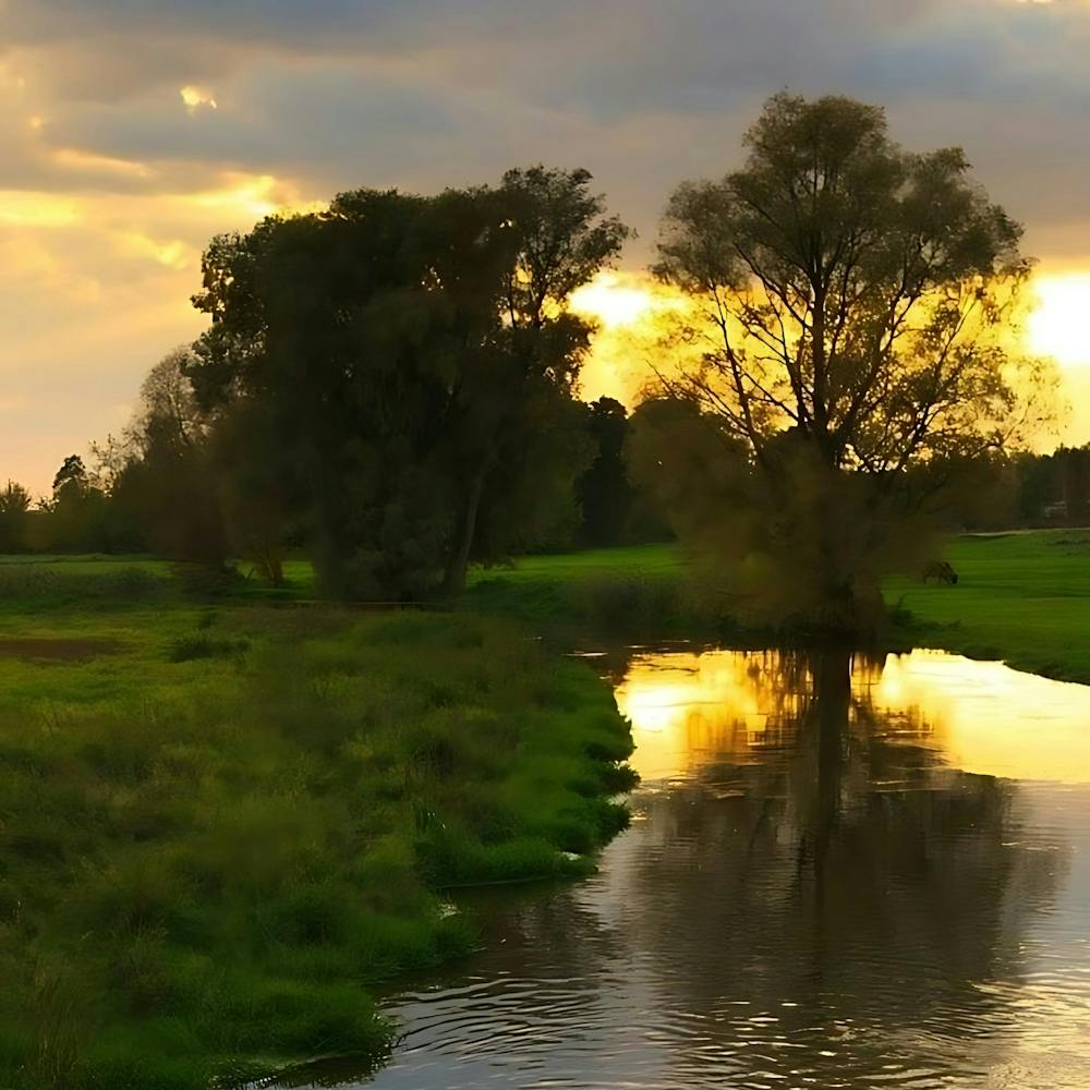 Sunset In The Countryside