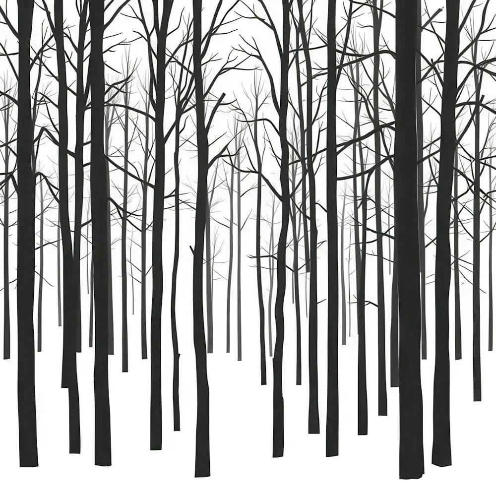 Black And White Forest