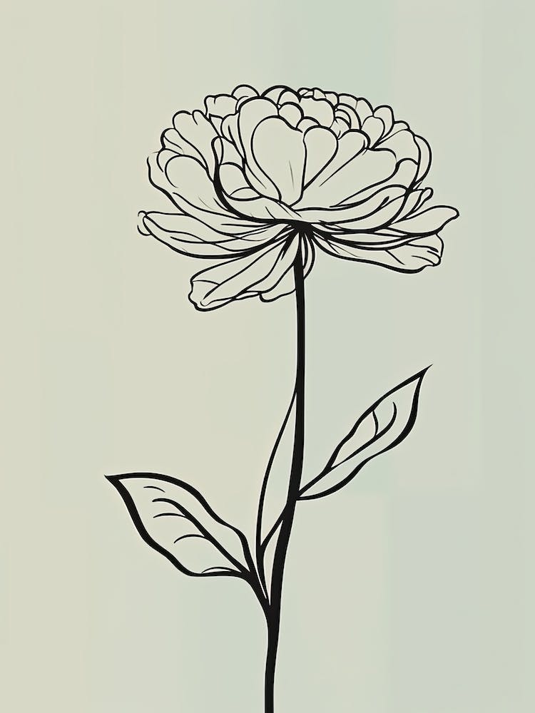 Line Art Marigold Flowers Illustration Neutral 10
