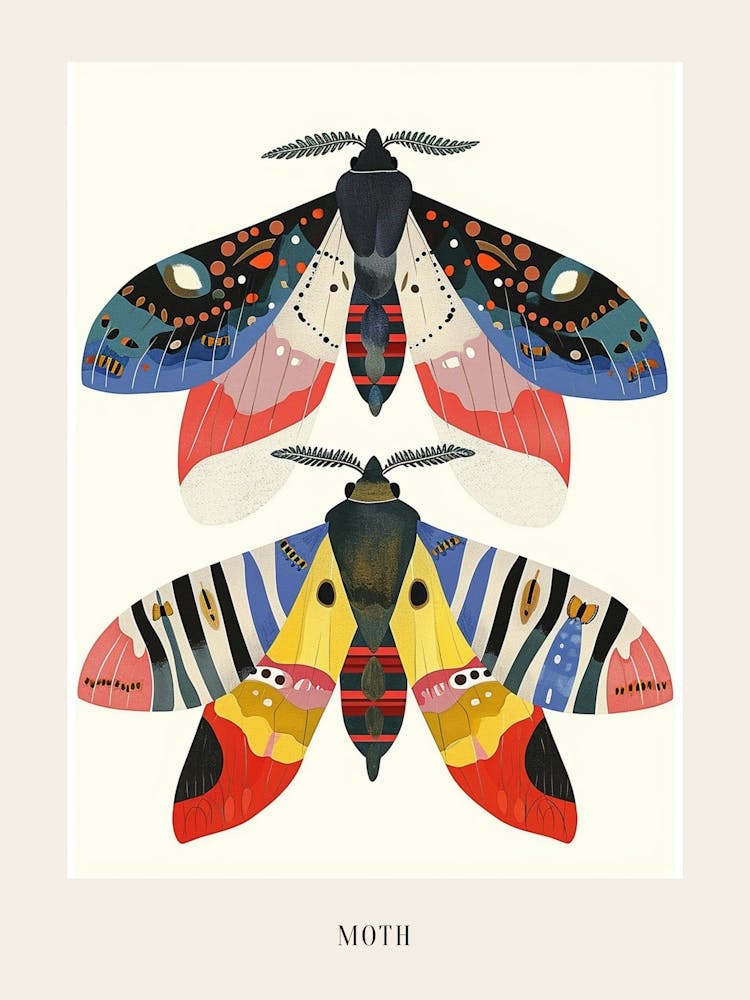 Colourful Insect Illustration Moth 57 Poster