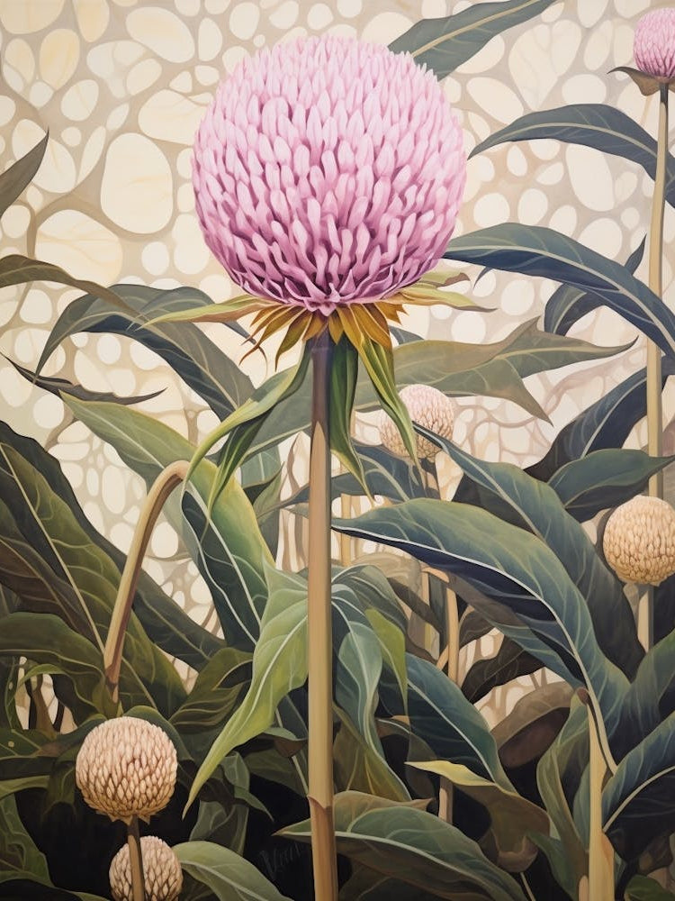 Flower Illustration Globe Amaranth 1