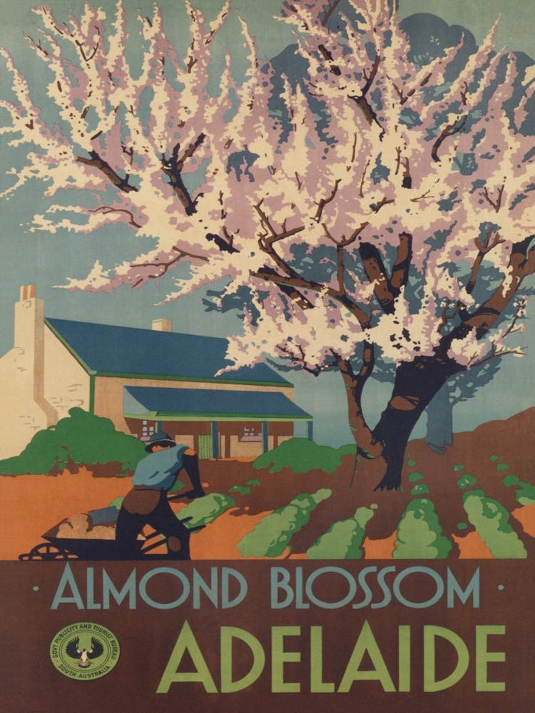 Almond Blossoms, Adelaide Australia Vintage Travel Poster