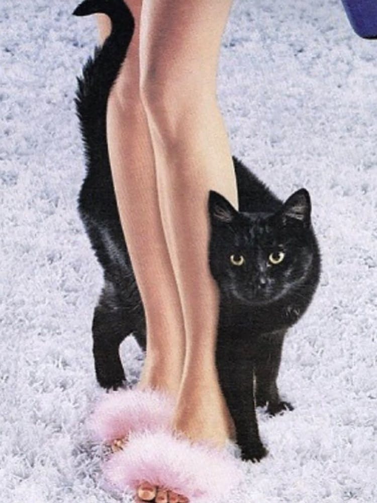 Vintage Cat and Woman