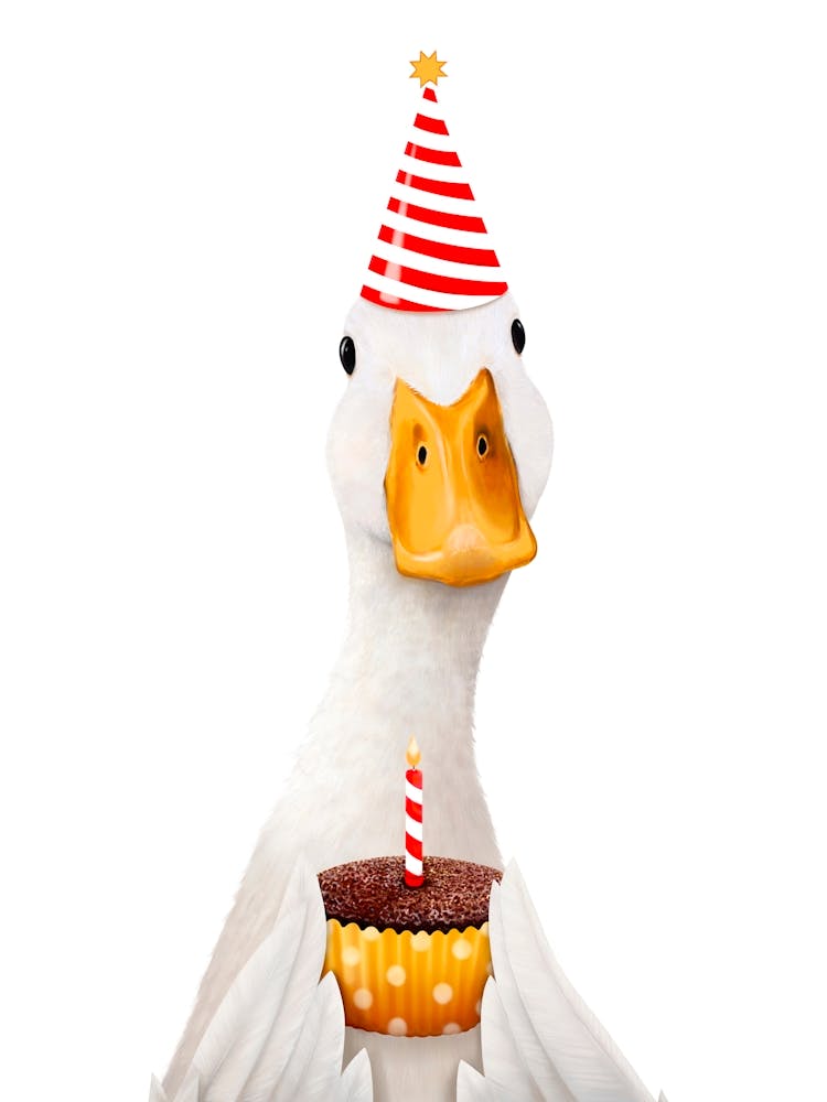 Birthday Duck