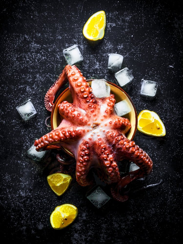 Poulpe et Citron — Affiche de cuisine / Tableau noir, Art photo